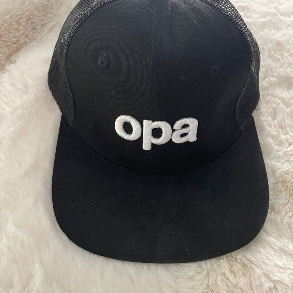 Black Mesh Cap